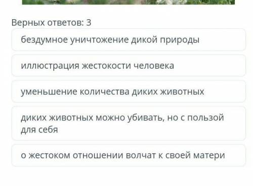 Каковы основные проблемы философского стихотворения О.Сулейменова Волчата?
