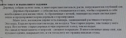 СОЧ Определите стиль текста, приведите 2 аргумента для обоснования своей точкизрения. это