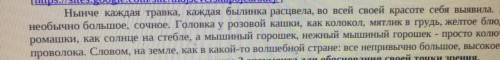 3. Определите стиль текста, приведите 2 аргумента для обоснования своей точки зрения.