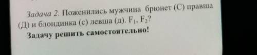 Нужно решить правильно одну задачу. Задача 2. Поженились мужчина брюнет (С) правша(Д) и блондинка (c