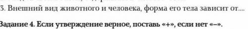 Внешний вид животного и человека форма его тела зависит от ​