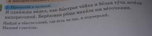 2. Прочитай и запиши. Я однажды видел, как быстрая чайка и белая туча летелинаперегонки. Берёзовая р