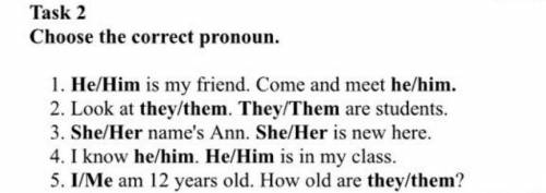 Task 2 Choose The Correct pronoun​