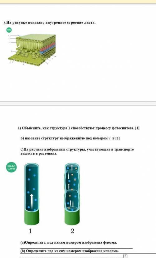 ) Объясните, как структура процессу фотосинтеза. [1] b) назовите структуру изображенную под номером