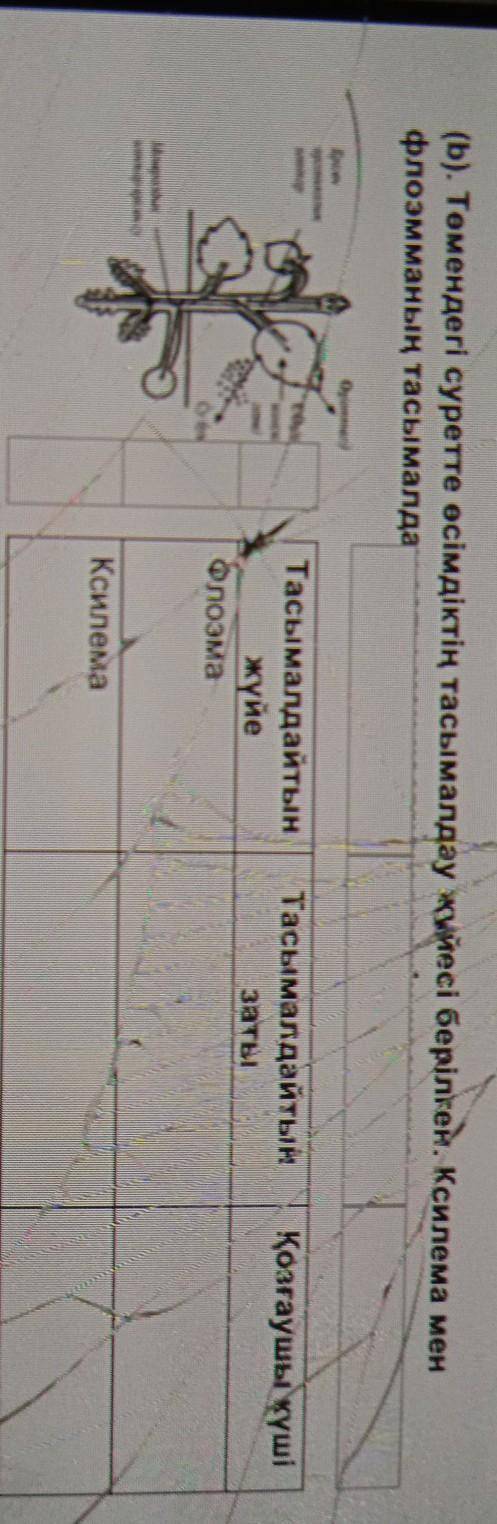 ЖАЗЫП БЕРИНДЕРШИ КАЗИРГЕ КЕРЕК​