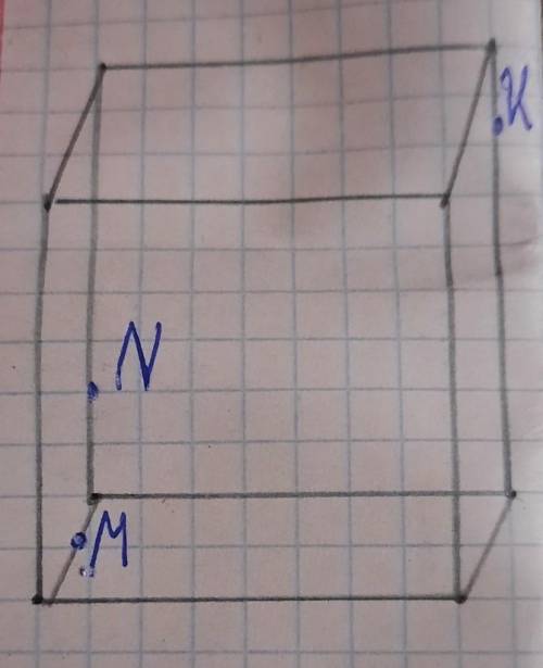 Постройте искомое сичение паралелепипед​