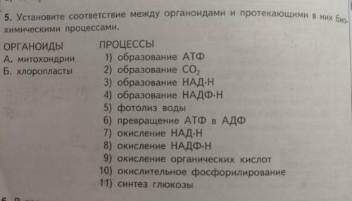 Вопрос жизни и смерти, надежда только на вас.