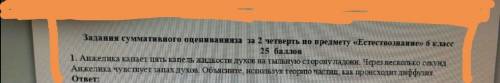 с СОЧ. Если что это задание по естествознанию.