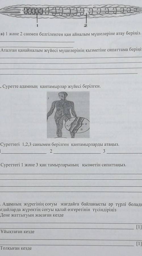 НЕ УДАЛЯЙТЕ ВОПРОС.НУДНО СДАТЬ ДО ЗАВТРА ​