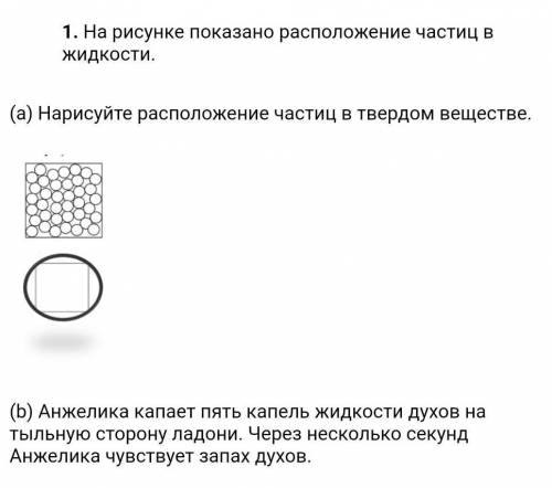 На рисунке показано расположение частиц в жидкости. (а) Нарисуйте расположение частиц в тспвердом ве