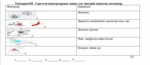 Суреттен жануарлардың тыныс алу типтерін анықтап, жазыңыз​