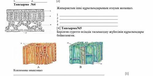 Керек болыптур отыныш комек дай те если зделали поставлю 5звзд и лайкну​