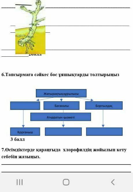 6 тапсырма қатты керек болып тұр өтініш ​