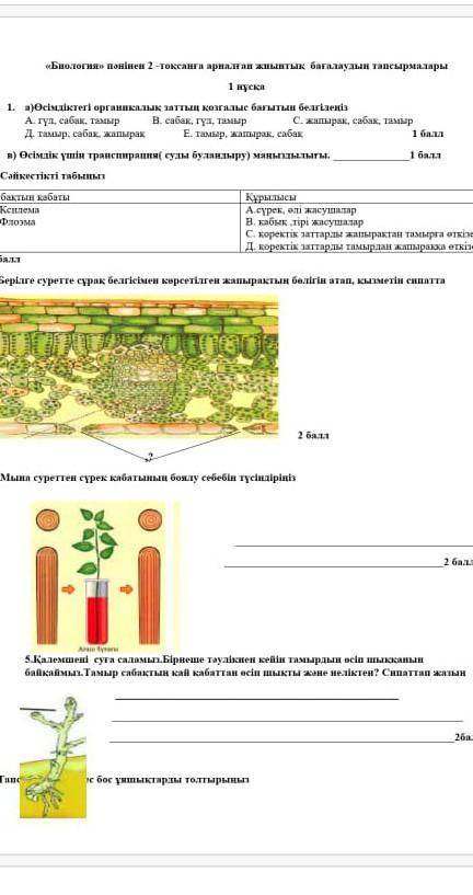 Биалогия тжб 7 сынып 2 тоқсан кім бледд беріңдершііі өтінішш ​