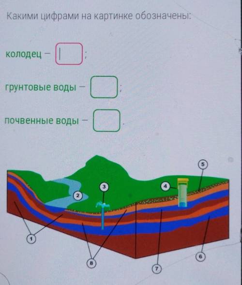 Какими цифрами на картинке обозначены:​