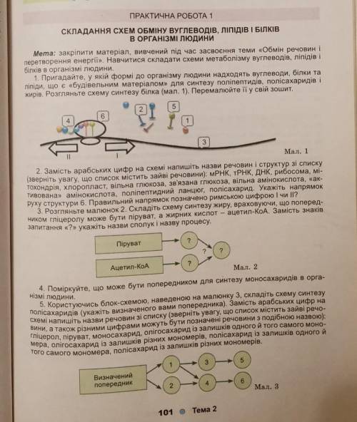 До ть терміново зараз треба здати біологія 10 клас практична всі завдання​