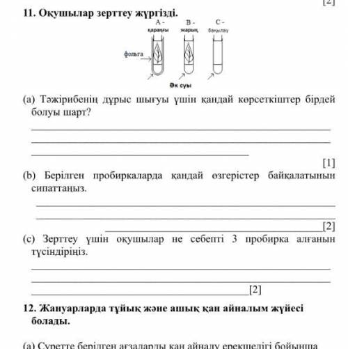 ￼￼ ￼￼￼￼￼￼￼￼￼￼￼￼￼￼биология тжб 2 токсан