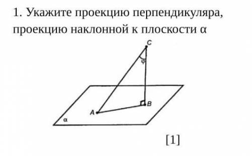 Укажите проекцию перпендикуляра, проекцию наклонной к плоскости α​