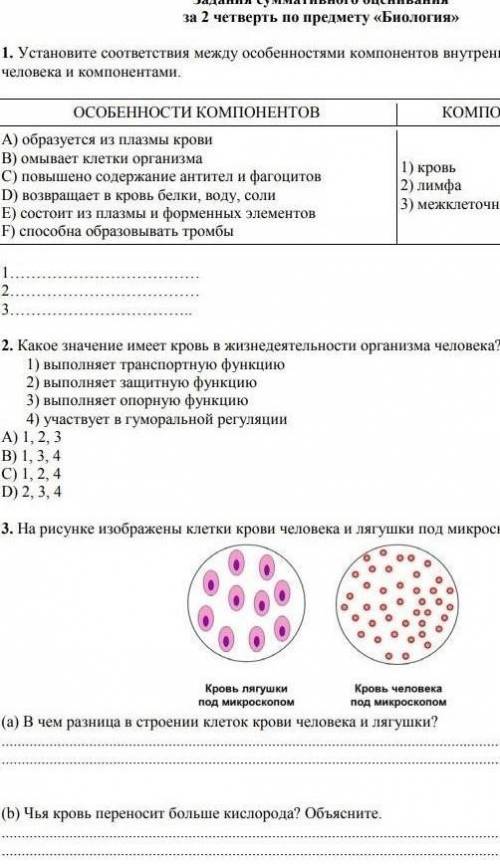 Проект для 11 класса по биологии