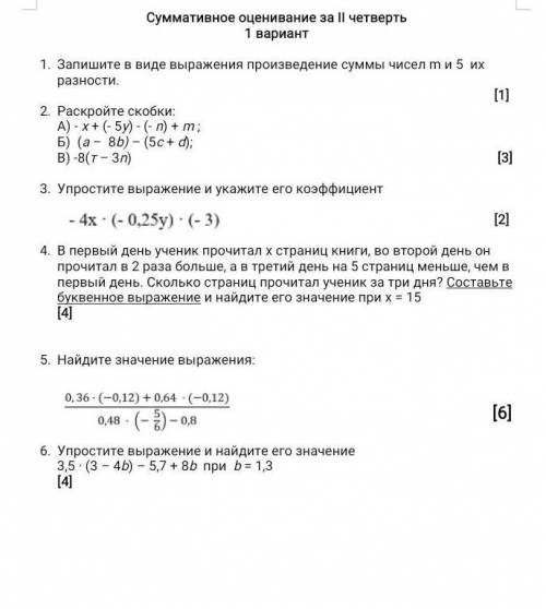 СОЧ номер 2 по математике 6 класс 1 вариант​