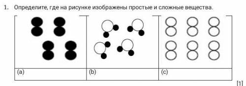 Определите где на рисунке изображенв простые и сложные вещества​