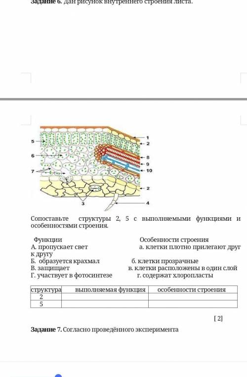 Сопоставьте структуры 2, 5 с выполняемыми функциями и особенностями строения. Функции Особенности ст