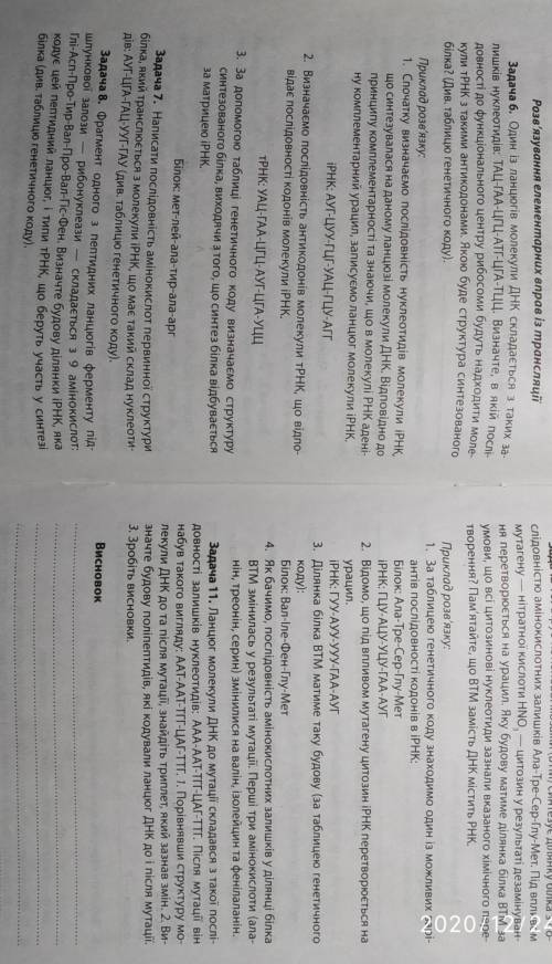 Задача 1. Якою буде послідовність нуклеотидів, що має утворитися впроцесі подвоєння (реплікації) мол