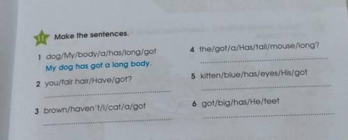 Make the sentences. 4 the/got/a/Has/tail/mouse/long?1 dog/My/body/a/has/long/gotMy dog has got a lon