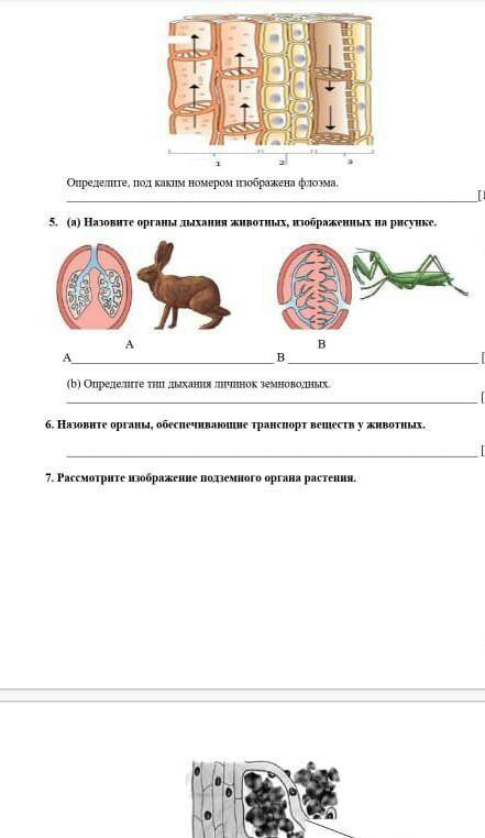 Сделать надо задания пожайлуста ​