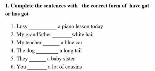 1. Lusy a piano lesson today 2. My grandfather white hair3. My teacher a blue car4. The dog a lon