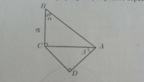 1. Используя рисунок, выразите отрезки AC и CD. СОЧ!​