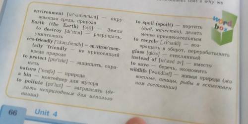 Сделайте предложений из слов (эти слова в жёлтой рамке )​