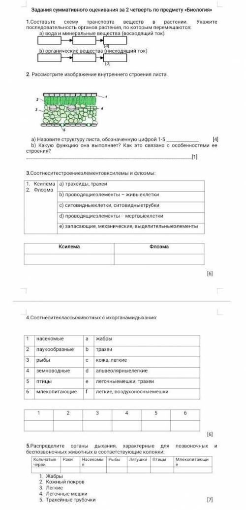 Задания суммативного оценивания за 2 четверть по предмету «Биология» 1.Составьте схему транспортавещ