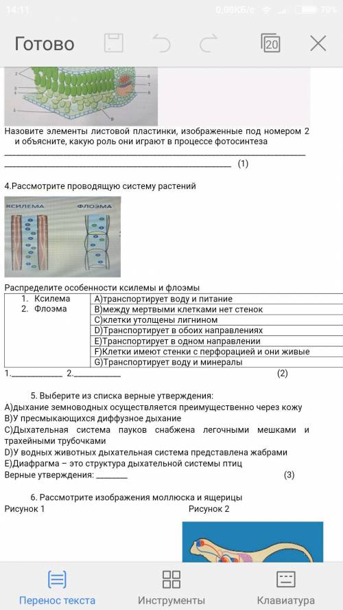 Соч по биологии Сдать нужно