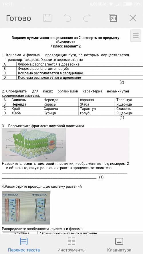 Соч по биологии Сдать нужно