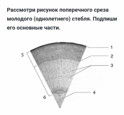 ОЧЕНЬ вопрос в прикрепленном файле​