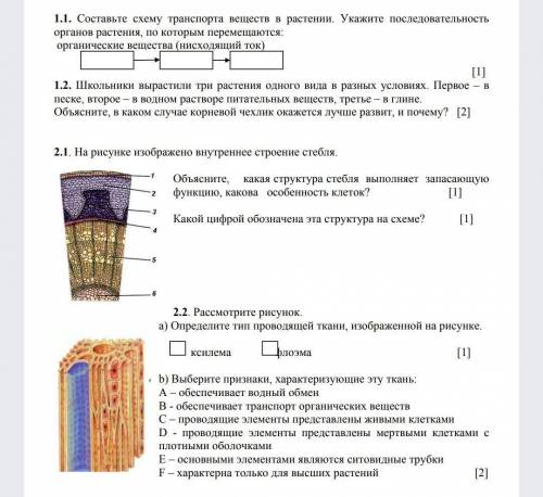 СОЧ,МОЖНО ХОТЯ БЫ 2 ЗАДАНИЕ Составьте схему транспорта веществ в растении. Укажите последовательност