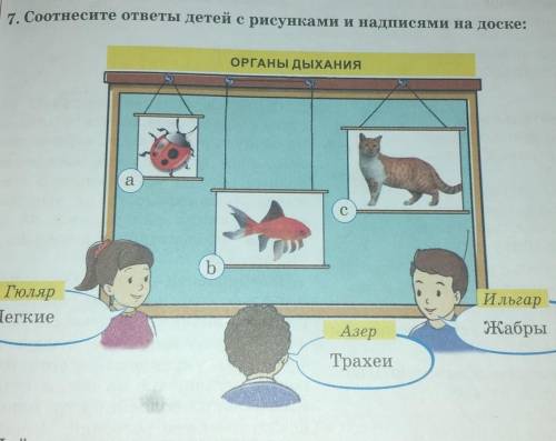 если что Гюляр говорит лёгкие не поместилась фото поэтому сказала ​