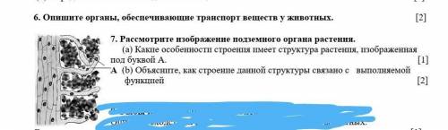 с заданием нужно это соч люди добрыеотдпю последний главная