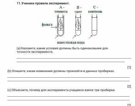 Ученые проводили эксперимент с двумя группами испытуемых