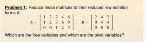 Reduce these matrice to their reduced row Echelon form Rwhich are the free variables andwhich are th