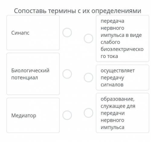 Сопоставь термины с их определениями передачанервногоимпульса в виде слабогобиоэлектрическо го токао