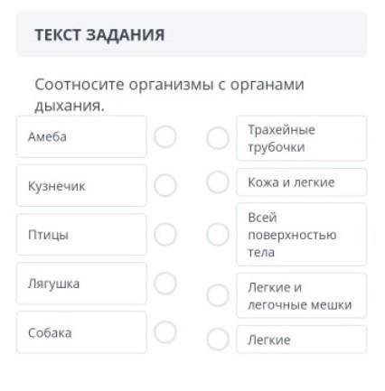 Соотносите организмы с органами дыхания​