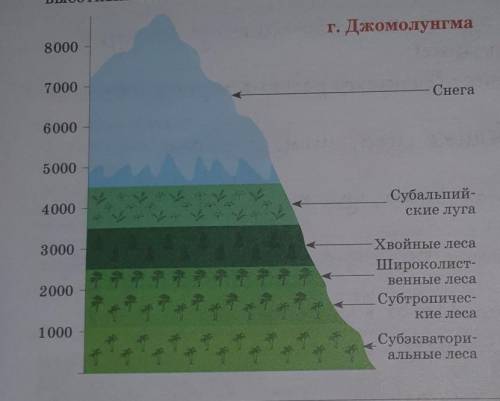 Очень география 8 классзадание : сравните высотную поясность Гималаев и Алтая. Где и почему мы наблю