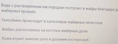 Выберите правильные утверждения, касающиеся дыхательной системы костных рыб :​