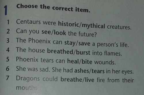 1 Centaurs were historic/mythical creatures 2. Can you see/look the future?3 The Phoenix can stay/sa