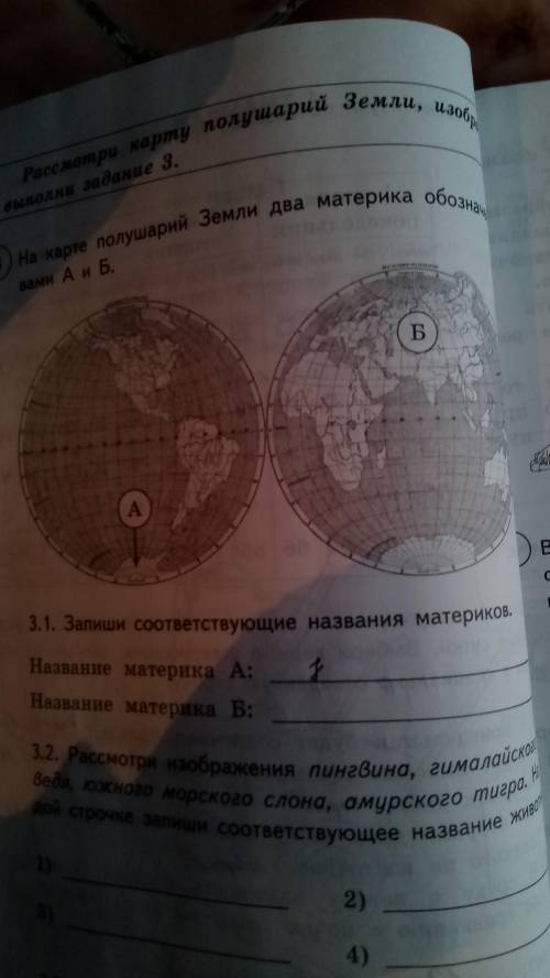 На карте полушарий Земли два материка обозначены буквами А и Б