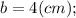 b=4(cm);