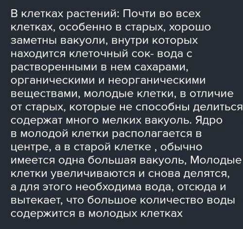 В молодых клетках клеточного сока находится очень много?