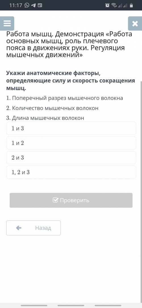 Укажи анатомические факторы, определяющие силу и скорость сокращения мышц.